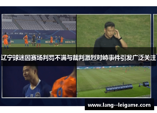 辽宁球迷因赛场判罚不满与裁判激烈对峙事件引发广泛关注