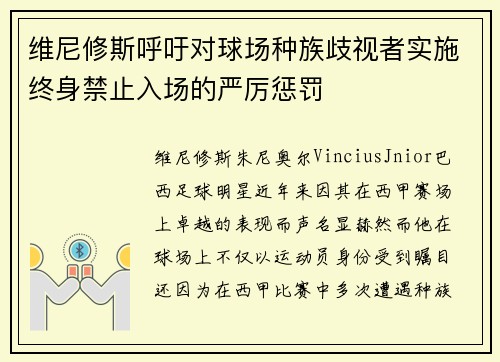 维尼修斯呼吁对球场种族歧视者实施终身禁止入场的严厉惩罚 维尼修斯呼吁对球场种族歧视者实施终身禁止入场的严厉惩罚